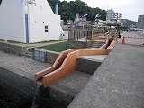 d0086228_156525.jpg