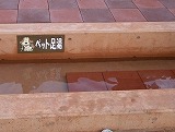 d0086228_17413185.jpg