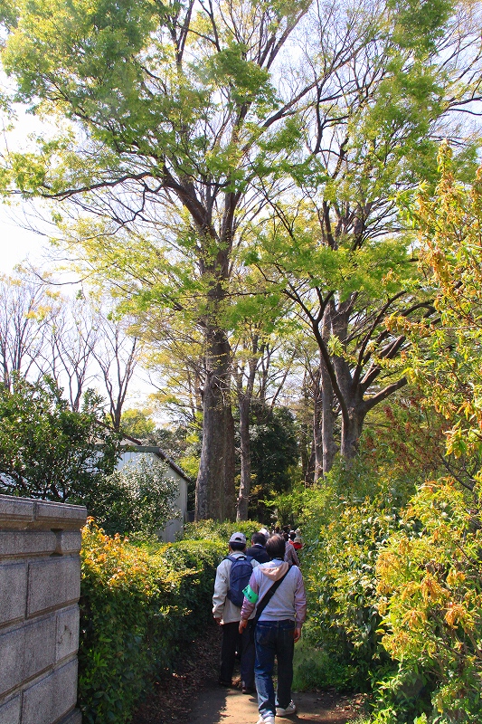 f0229832_1242373.jpg