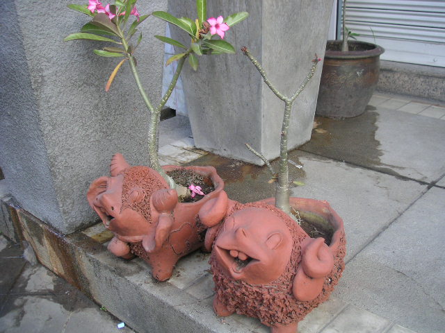 c0127933_20494740.jpg