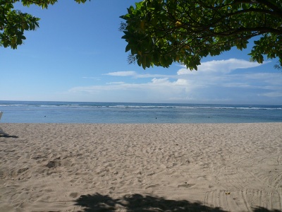 d0033333_84214.jpg
