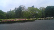 c0165337_16113767.jpg