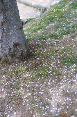 f0140938_19572165.jpg