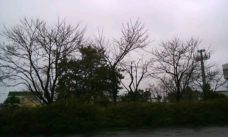 c0179647_17565414.jpg