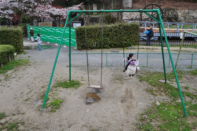 花愛でる道　味わう道・・・_c0219357_23233211.jpg