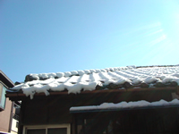 雪の日_f0232060_10394085.jpg