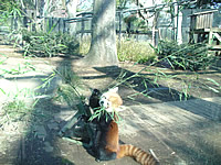 上野動物園_f0232060_10531725.jpg