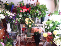 花修行 ~白いあじさいを使ったオールラウンド~_f0232060_11334240.jpg