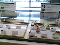 新宿高島屋「パティシェリア」 _f0232060_1138939.jpg