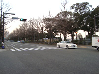 横浜中華街へ行く。 _f0232060_17333878.jpg