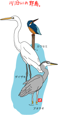 野鳥の観察_f0215363_19374011.gif