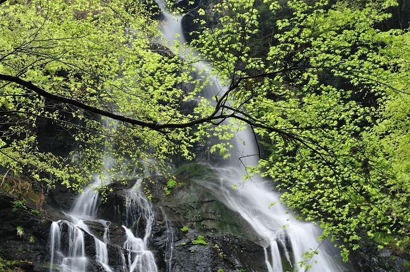 奈良県吉野郡東吉野村　和佐羅の滝　（１）_f0067667_21485449.jpg