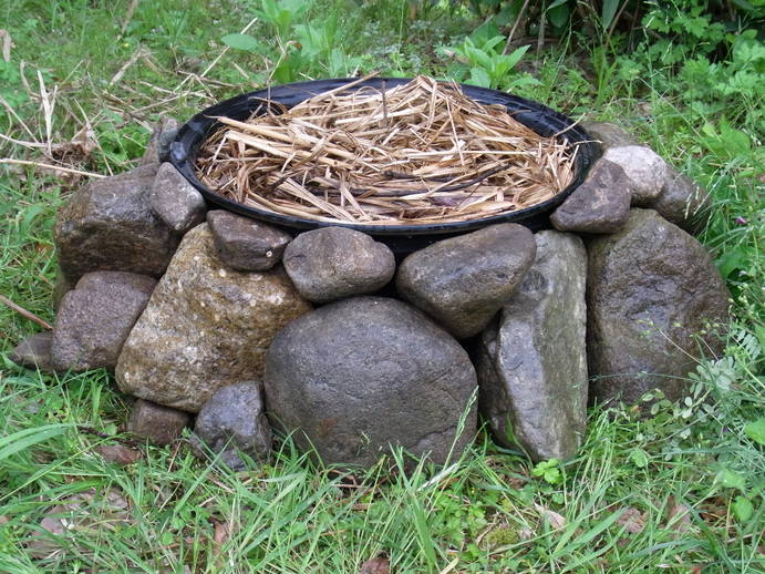 廃タイヤホイールで植木鉢 パーマカルチャー関西のスタッフブログ