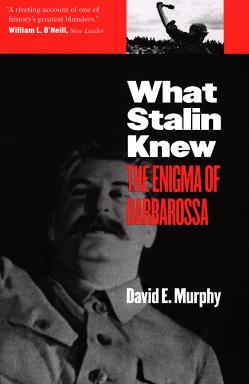 「バルバロッサ作戦」におけるスターリンの共犯　by Henry Makow Ph.D._c0139575_21244151.jpg