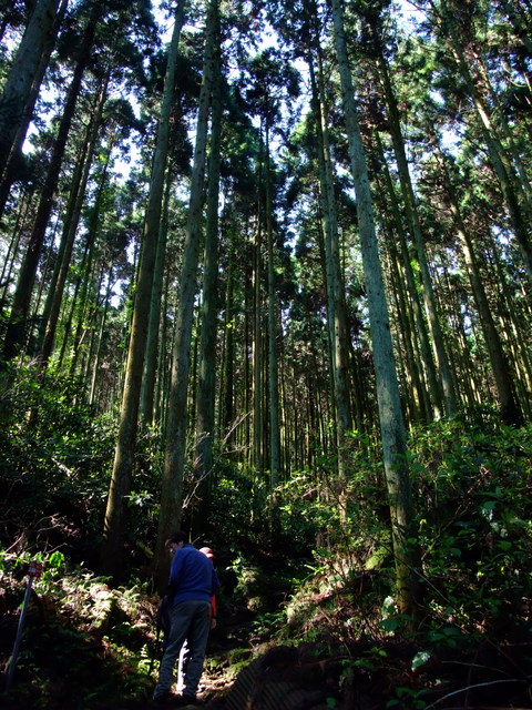 千葉・高宕山でのプチオフ会　その①_a0043982_1774849.jpg