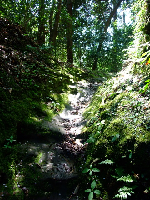 千葉・高宕山でのプチオフ会　その①_a0043982_1785520.jpg