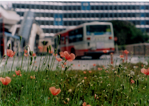 ◆PENTAX MV-1＋smc PENTAX-M 50mm F2.0 ～新宿西口副都心_e0174382_17313522.jpg