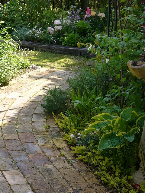a0123003_17341430.jpg