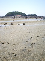 a0090208_2313232.jpg