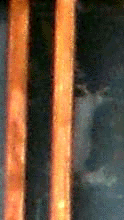 e0103408_1345881.gif