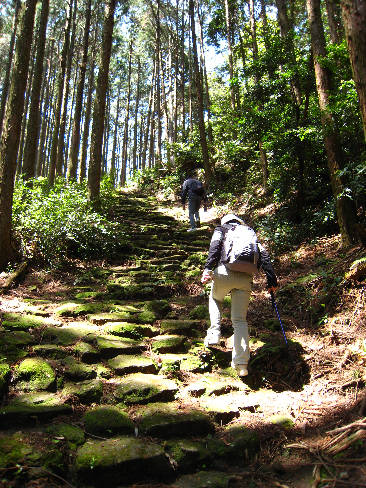 熊野古道　二木島峠道、逢神坂峠道を歩く　2010　4月29日_d0154609_1952378.jpg