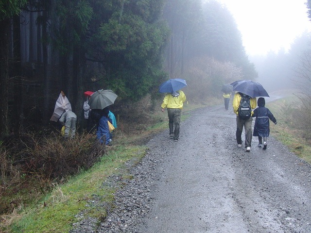 富士山麓ブナ林創造事業と危機管理能力_f0141310_22583783.jpg