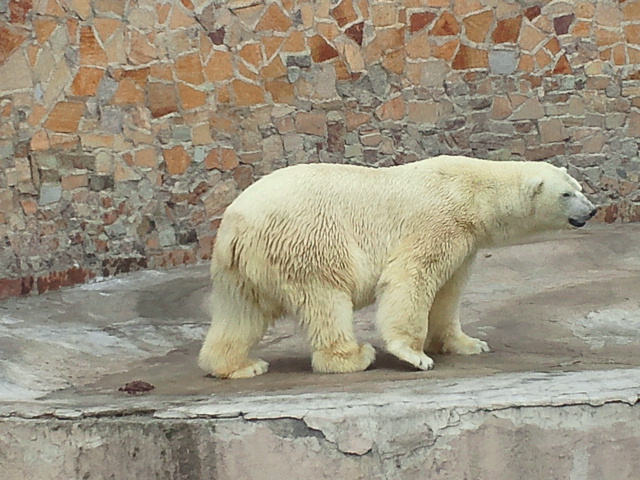 a0151913_19323580.jpg