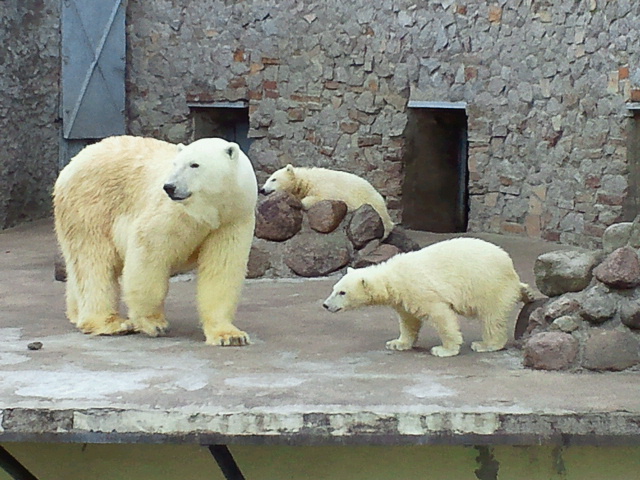 a0151913_20191669.jpg