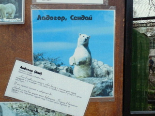 a0151913_2218310.jpg