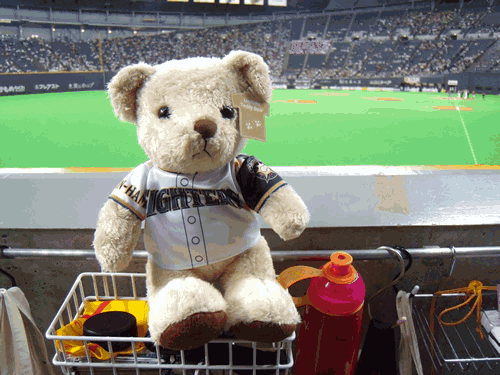 e0126914_23124555.gif
