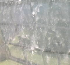 f0196014_8405755.jpg