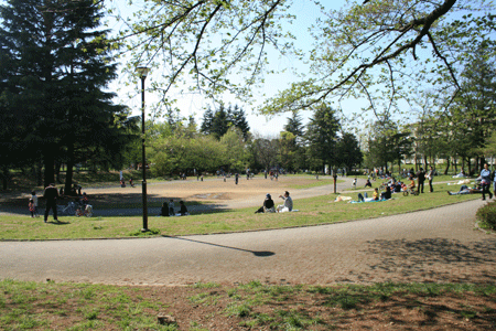 たまプラーザ 美しが丘公園 田園 でらいと