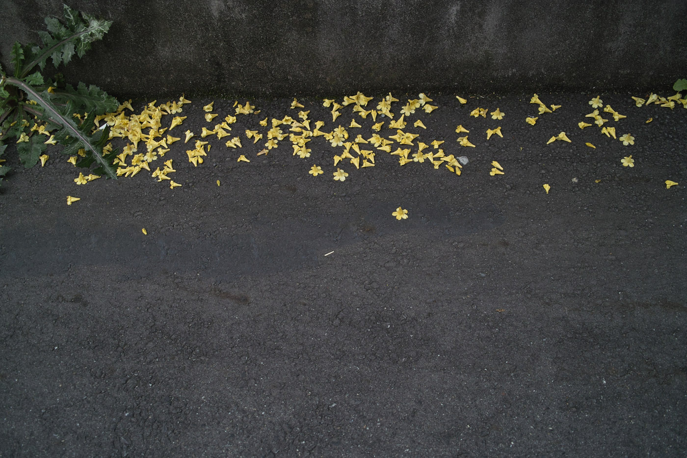 c0213117_3323369.jpg