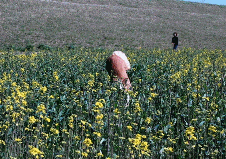 c0116921_23403293.gif