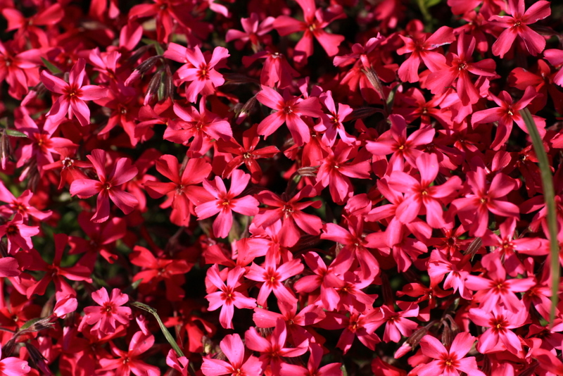 b0165522_1439738.jpg