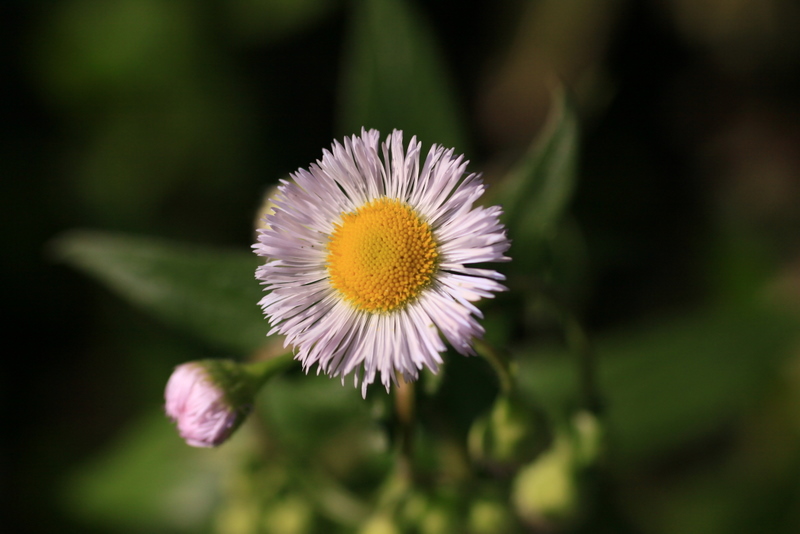 b0165522_1440113.jpg