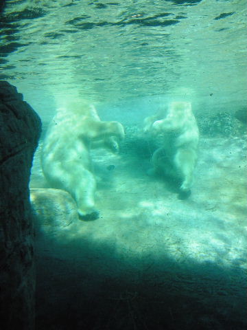 e0114823_16192915.jpg