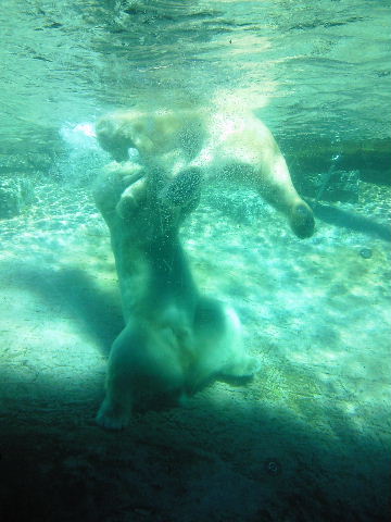 e0114823_16194976.jpg
