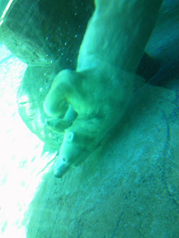 e0114823_16223559.jpg