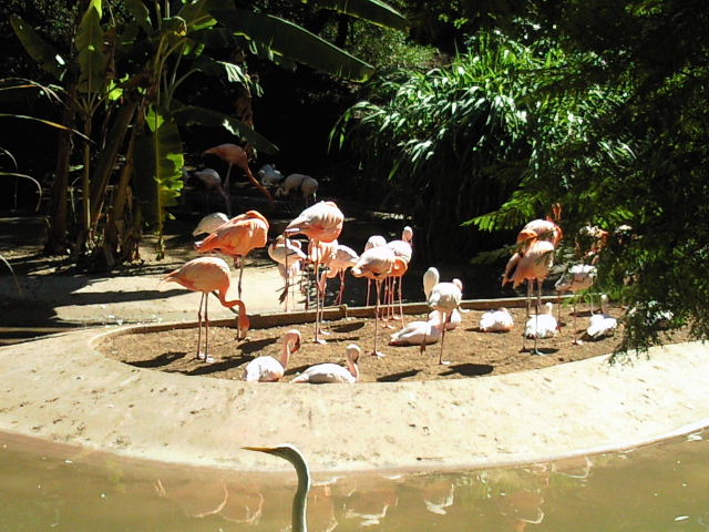 e0114823_1692823.jpg