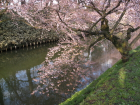 b0147224_21214286.jpg