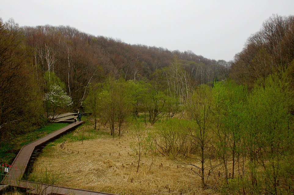 c0223825_1442871.gif