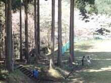 八ツ杉千年の森「新緑祭」が開催されました(その1)_e0061225_9443638.jpg