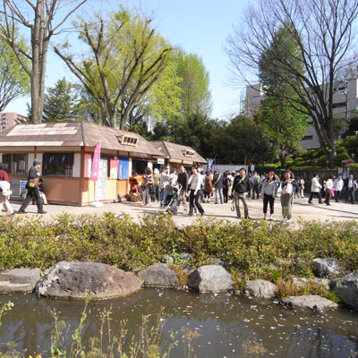 いよいよ！つつじまつり - 根津神社_c0162826_18184266.jpg