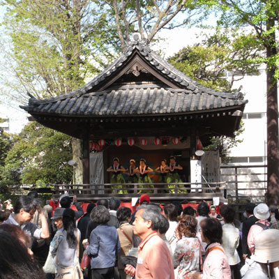 いよいよ！つつじまつり - 根津神社_c0162826_18495743.jpg