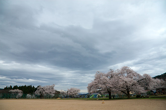 c0067040_22363350.jpg