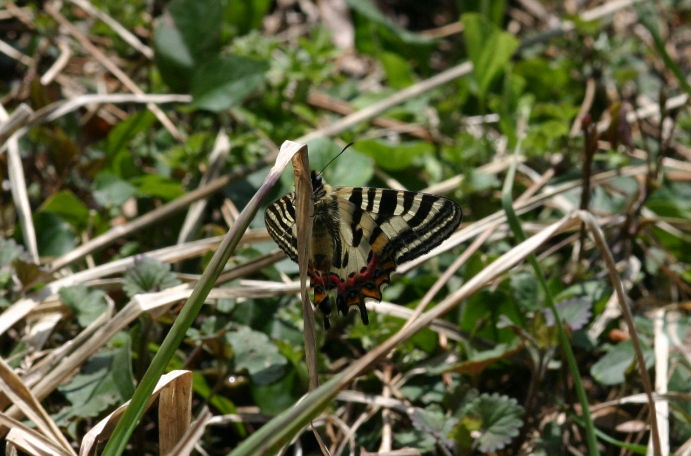 長野遠征２_f0217445_2111152.jpg