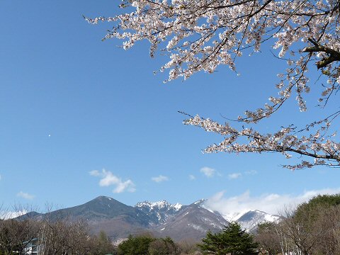 f0019247_20501441.jpg
