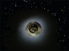 e0005548_23245792.gif