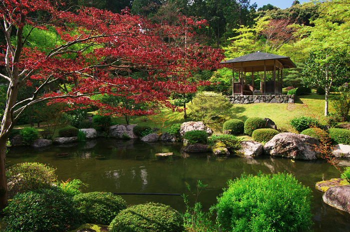 三室戸寺 春景(後編・花々の美しさ)_f0155048_1148439.jpg